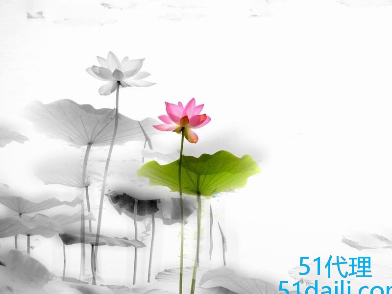 nginx反向代理可以查出真实ip吗